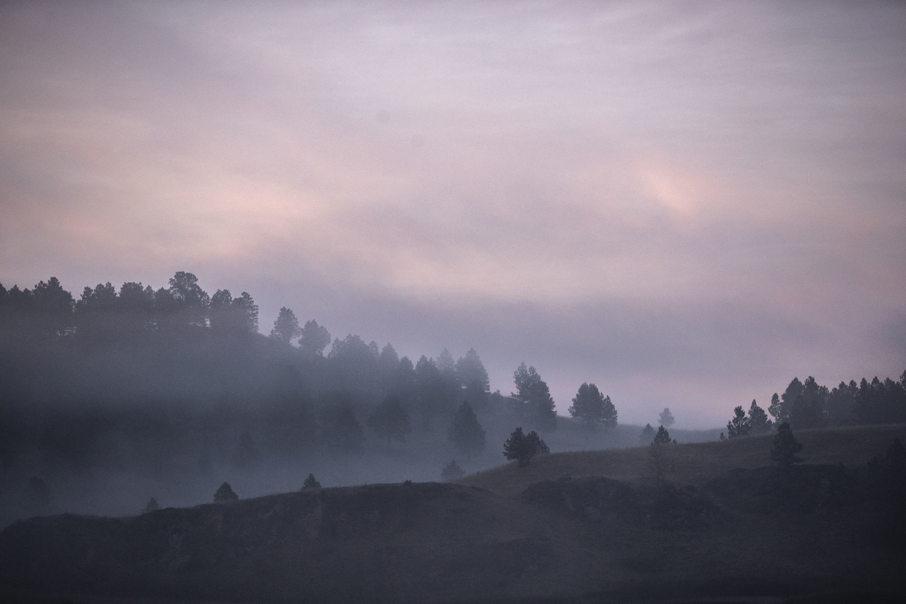 Custer State Park